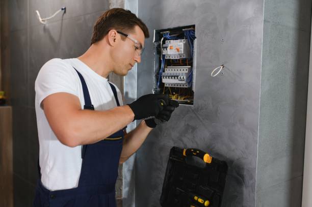 Best Electric Panel Repair  in Coal City, IL